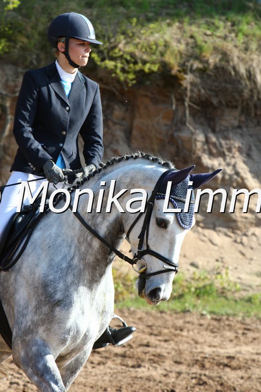 004M1478_Diamond Dancer_Spring A.JPG